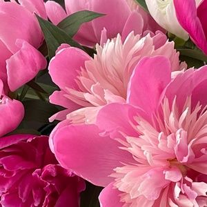 Meet your Posher, Lori